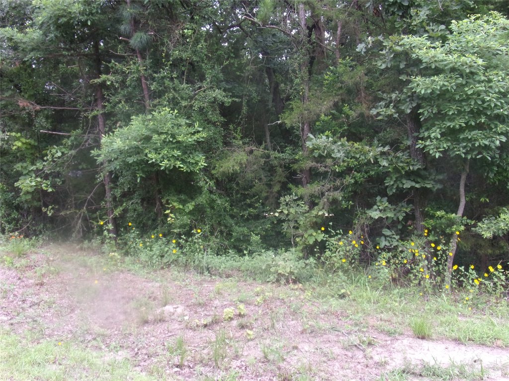 Picture 7