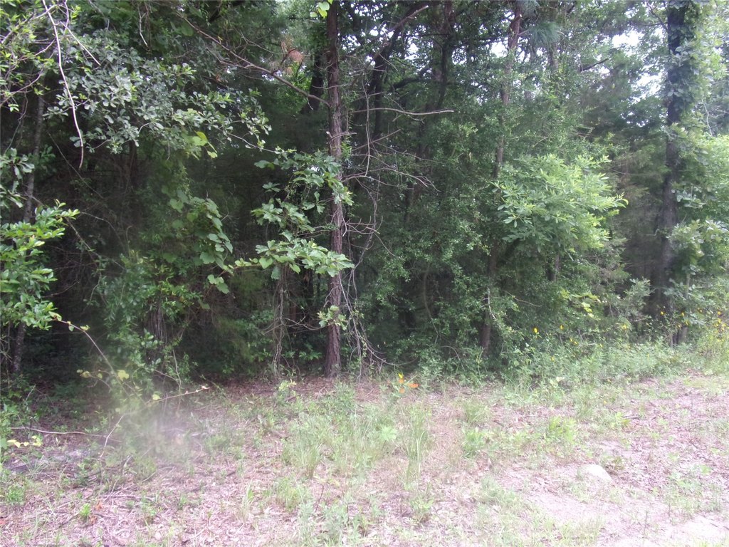 Picture 5