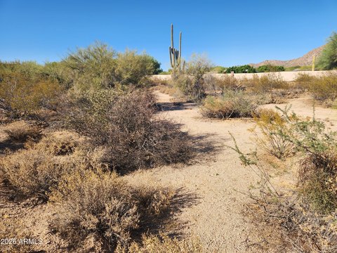 Land, Scottsdale, AZ
