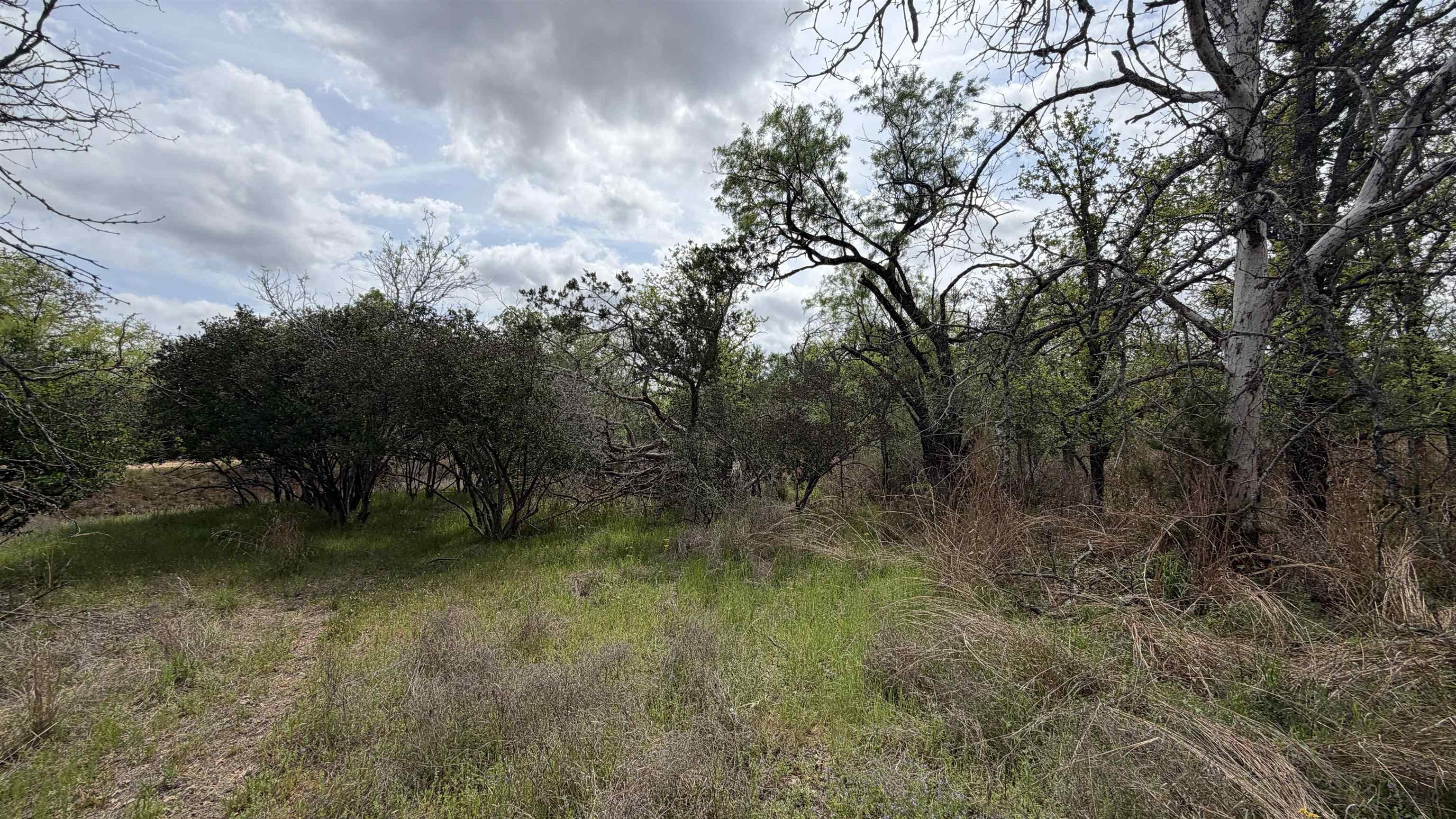 Kingsland, TX Land Opportunity