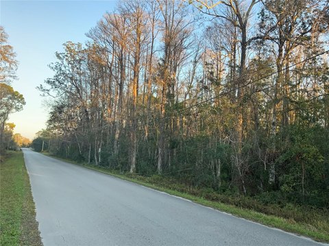 Vacant Agricultural Land Parcel