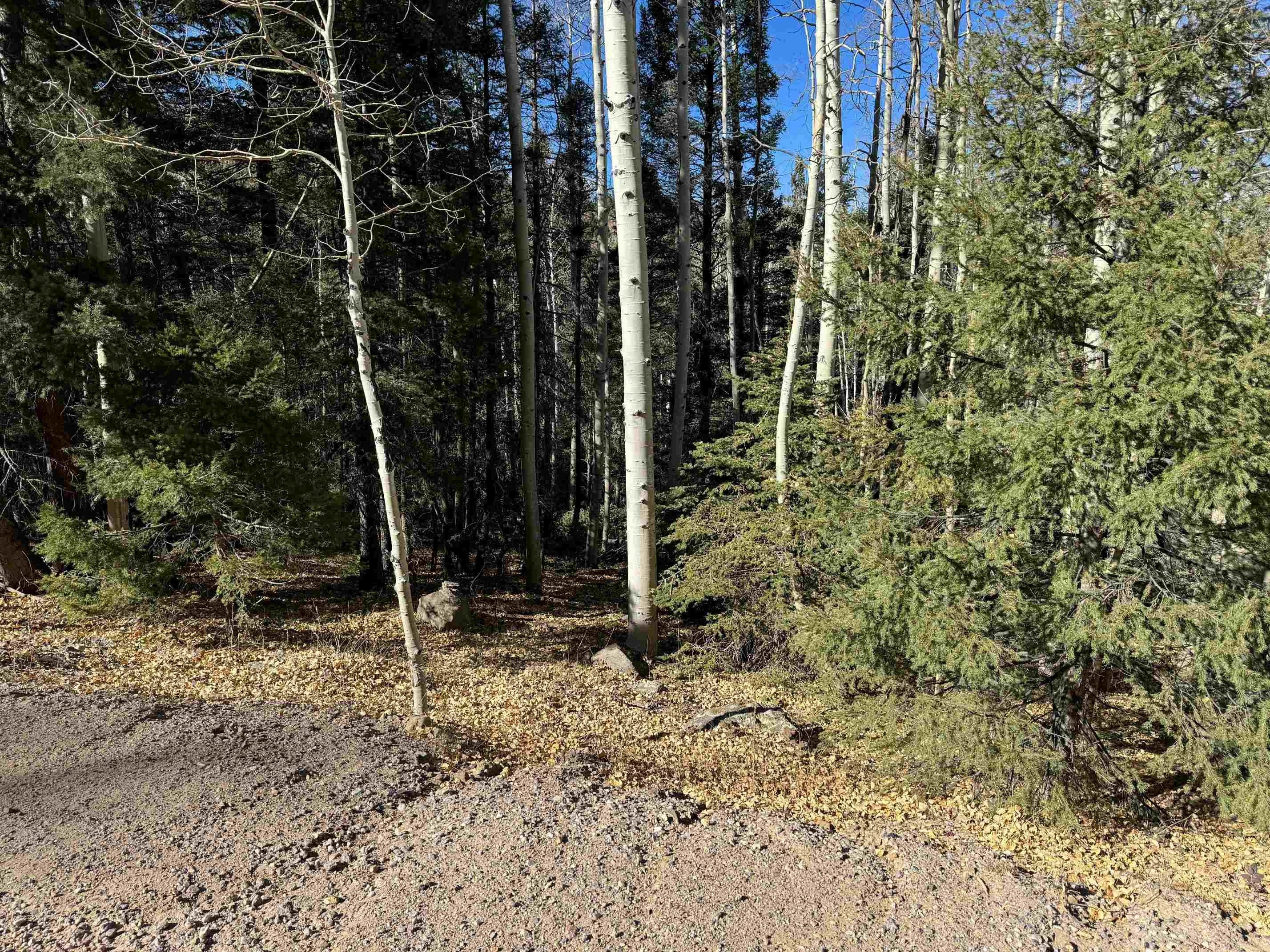 Angel Fire Home Site