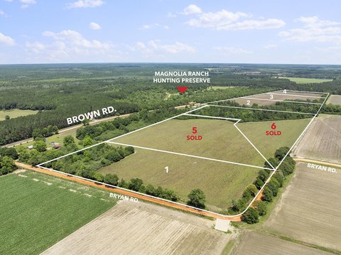 DeFuniak Springs Farmland Opportunity