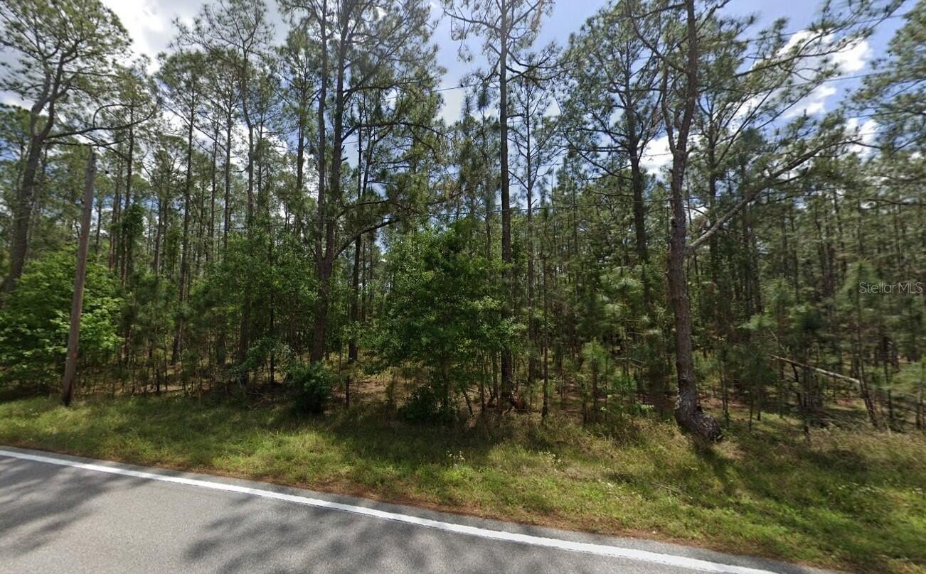 Buildable Land in Polk City