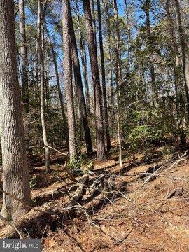 Land in Nanjemoy, Maryland