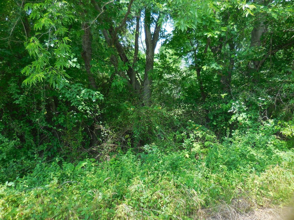 Picture 3