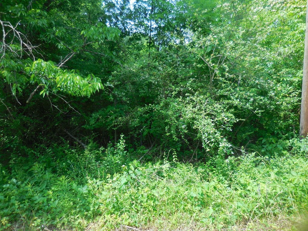 Picture 4