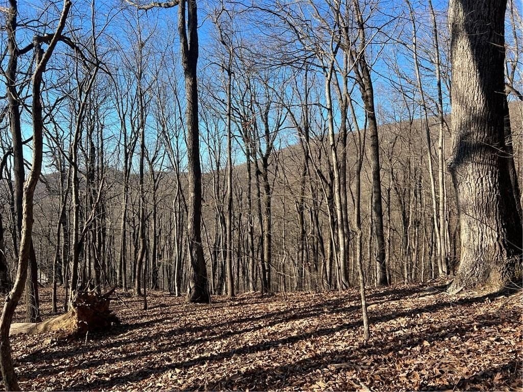 Land in Bent Tree Community