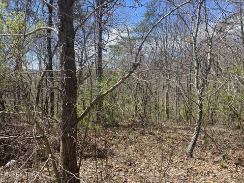 Crossville Land For Sale