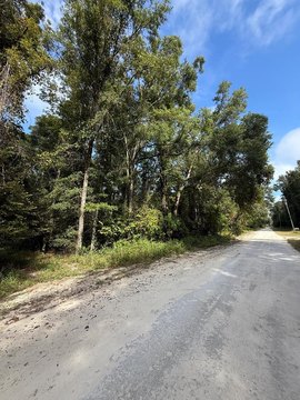 Two Acres in Old Town