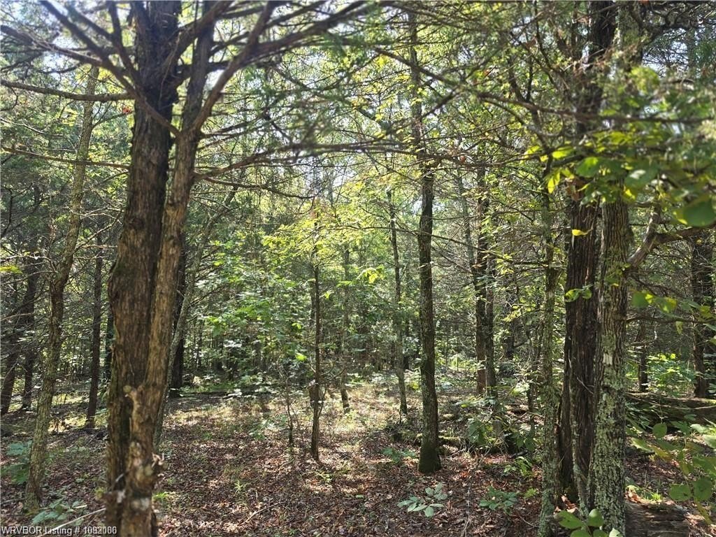 Picture 11
