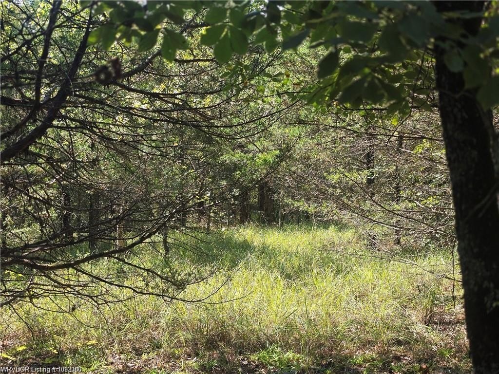 Picture 4