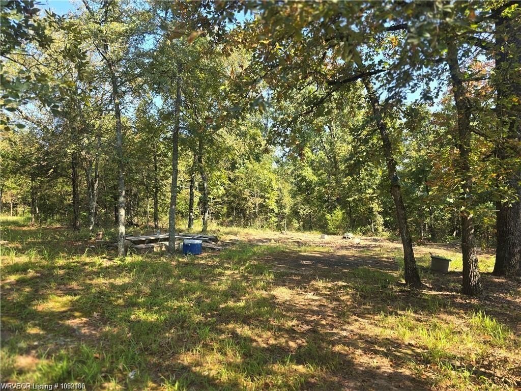 Picture 8