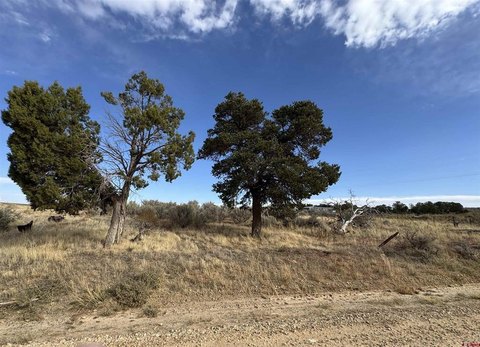 LAND, Cahone, CO