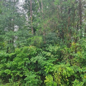 Residential Land in Kernersville, NC