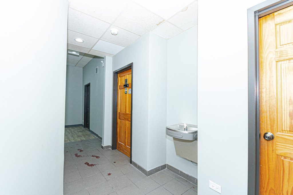 Picture 12