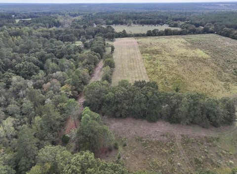 Land, Wagener, SC