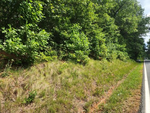 Wooded Lot Near Appomattox, VA