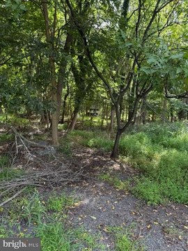 Land, BOONSBORO, MD