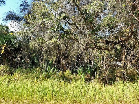 NORTH PORT, FL