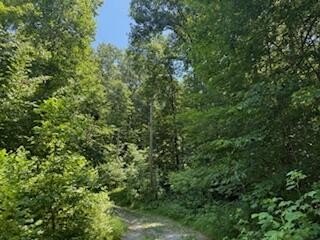 Wooded Lots Near Water Recreation