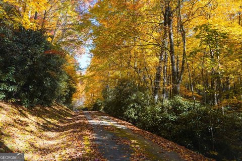 Dillard, GA Land for Sale