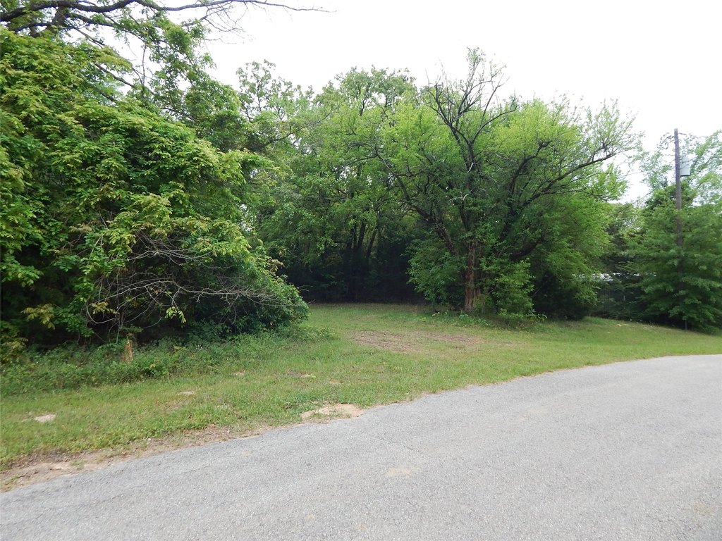 Picture 4
