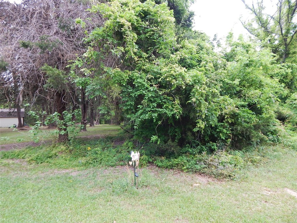 Picture 6