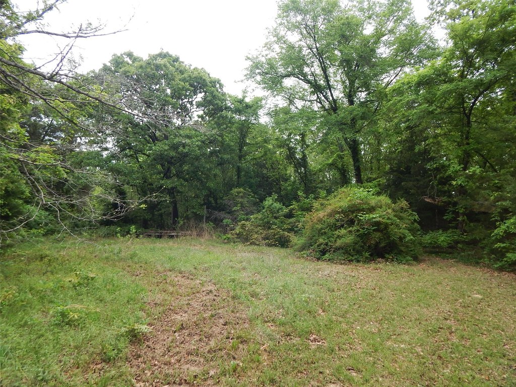 Picture 3