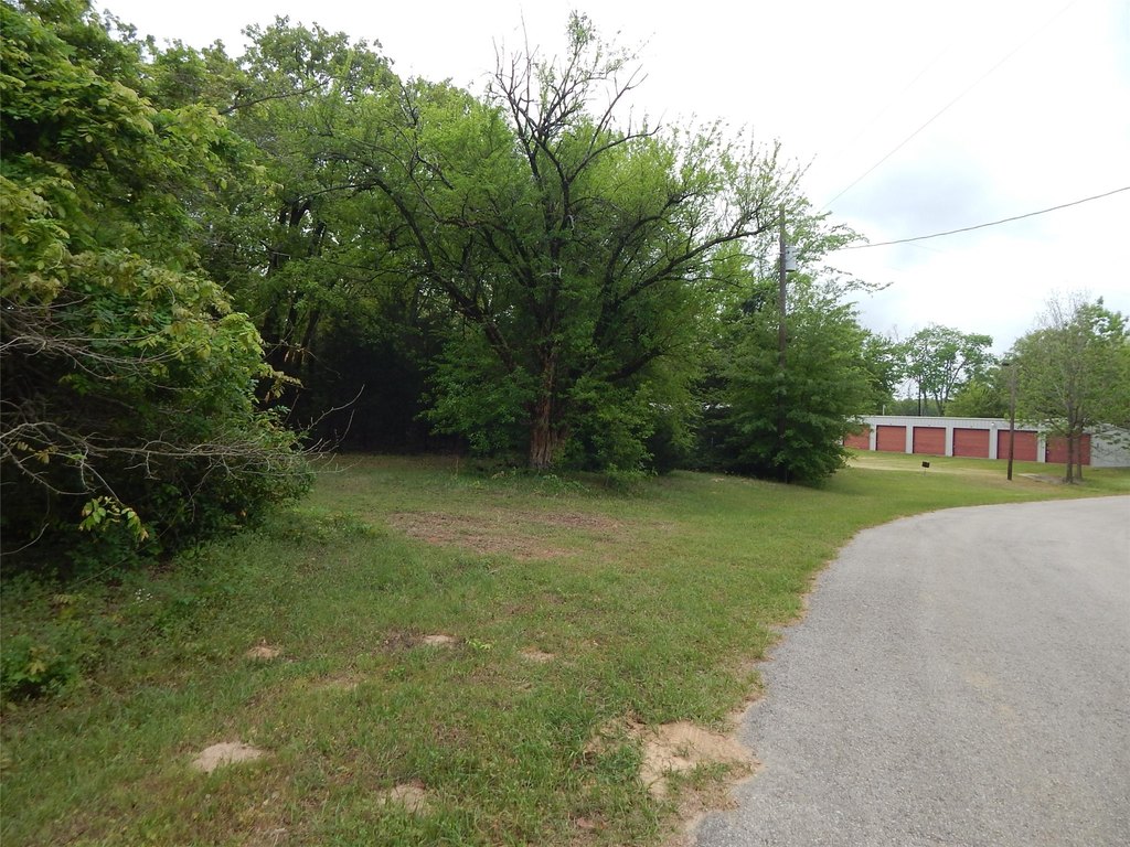 Picture 5