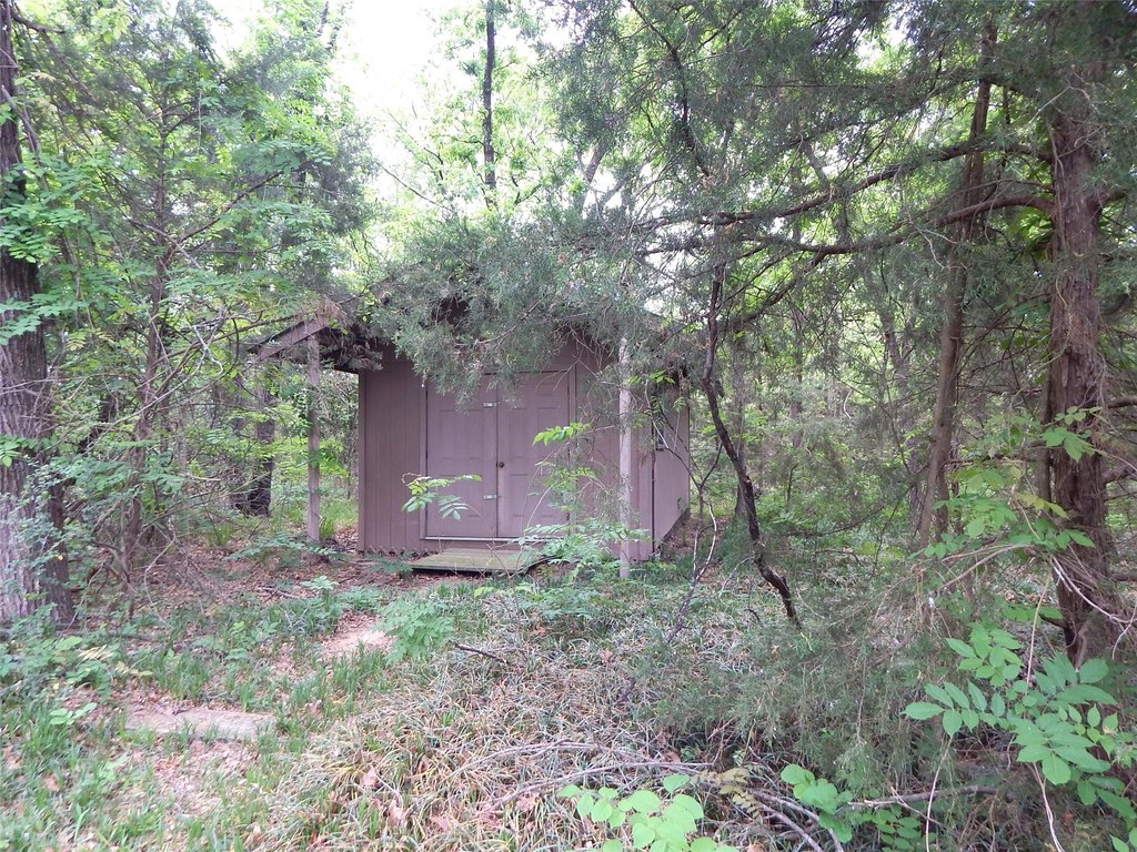 Picture 8