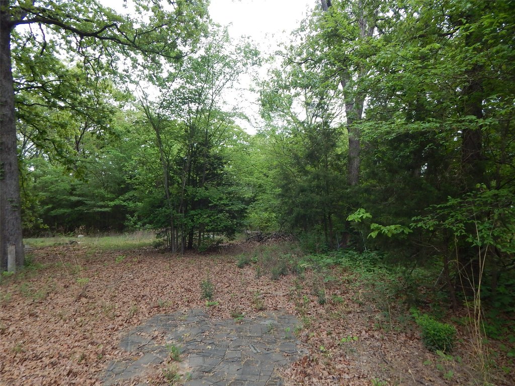 Picture 11