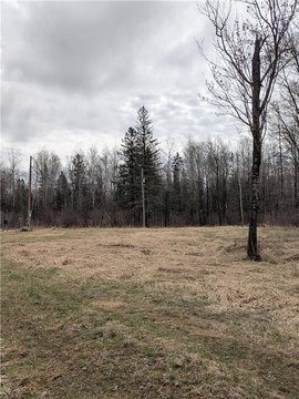 Secluded 3-Acre Parcel