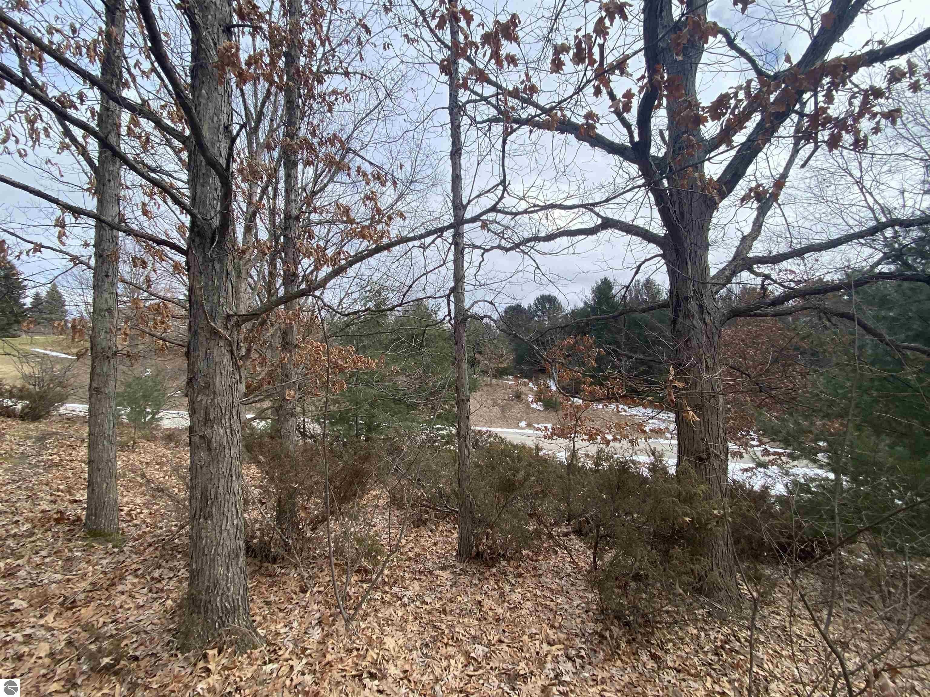 Residential Lot in Kirkridge Hills