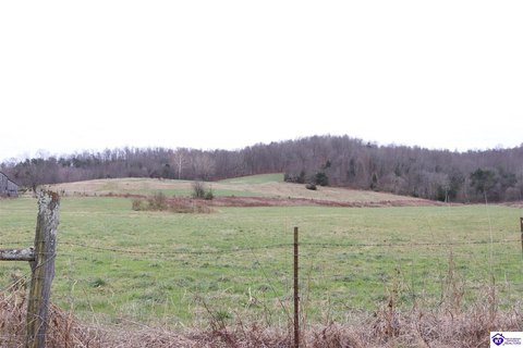 Agricultural Land for Horse & Hunting