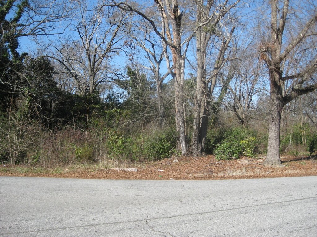 Picture 4