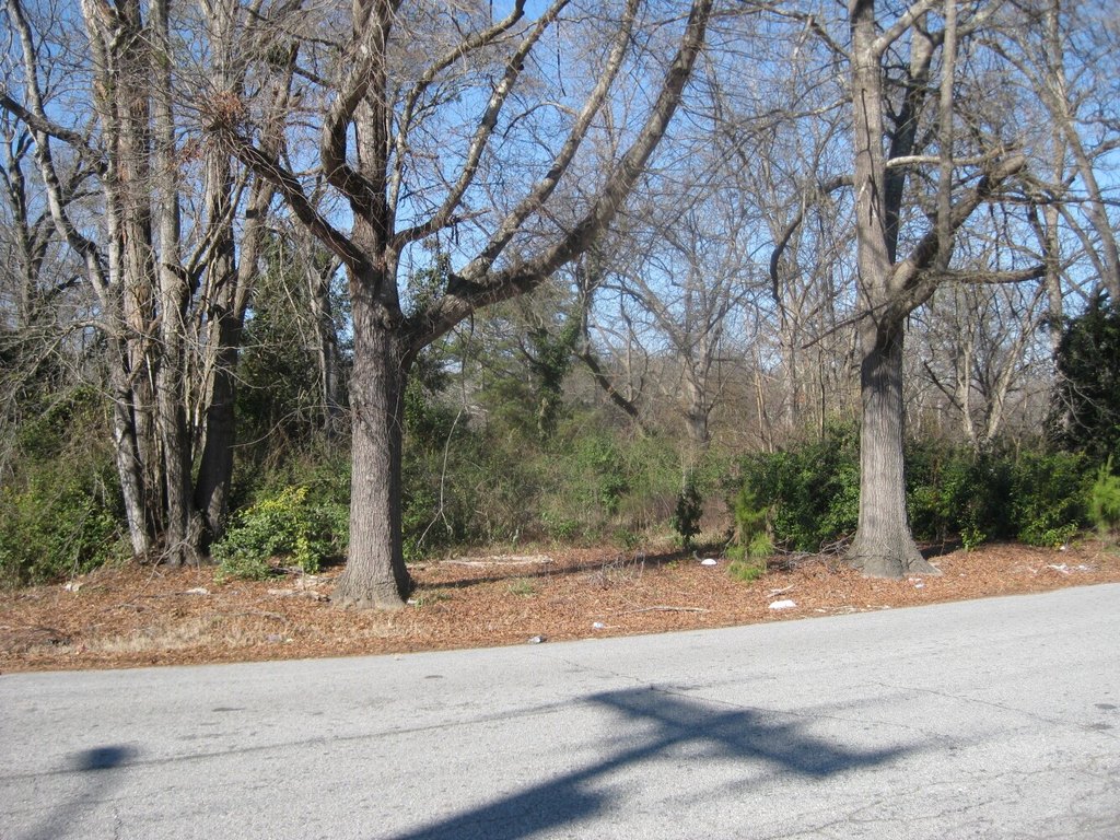 Picture 3
