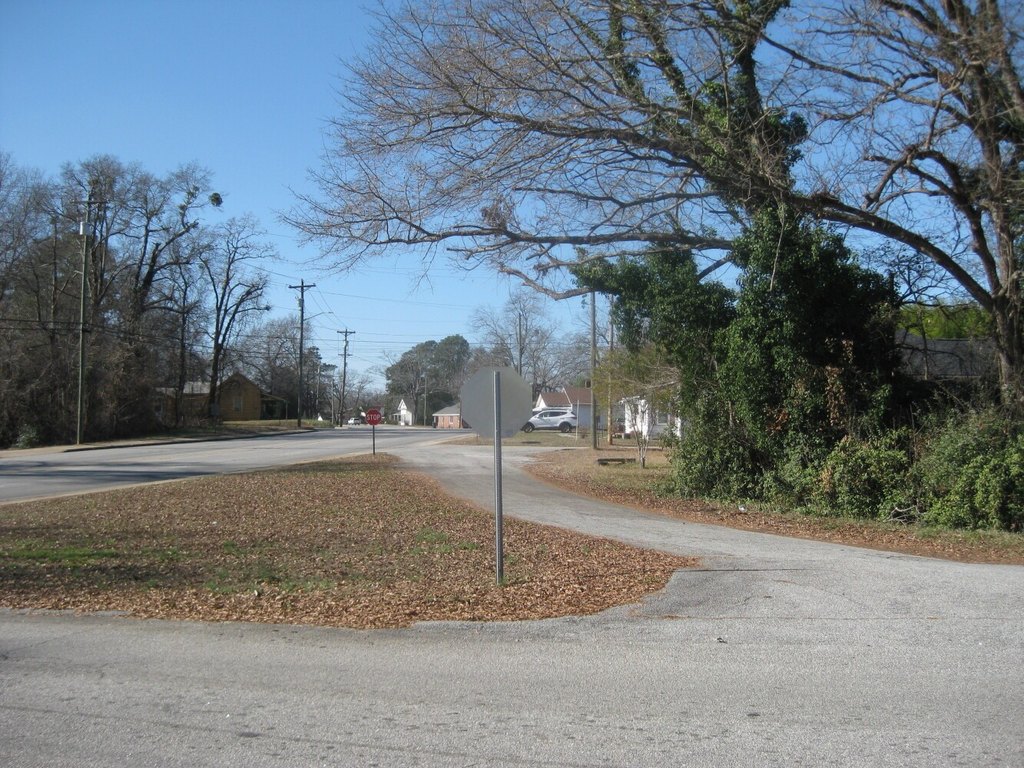 Picture 5