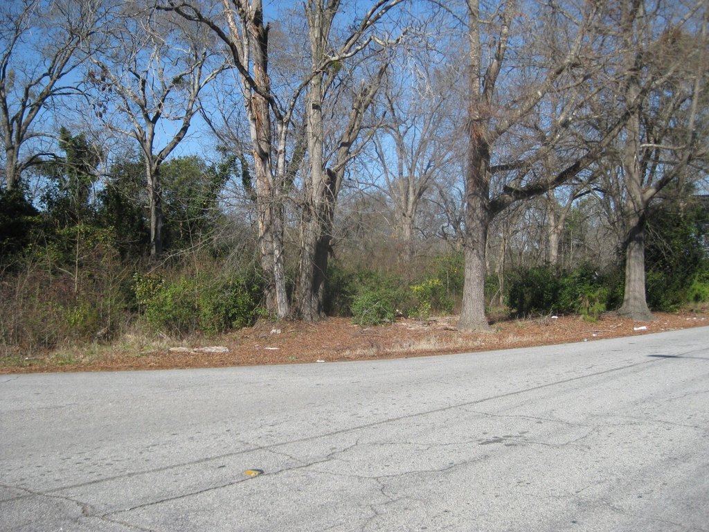 Picture 6