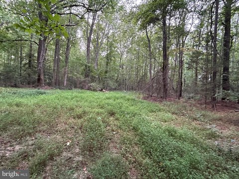 Land, HEATHSVILLE, VA