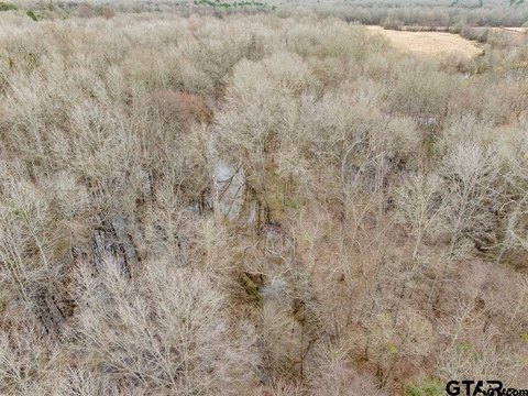 Wooded Acreage Near Pittsburg, Texas