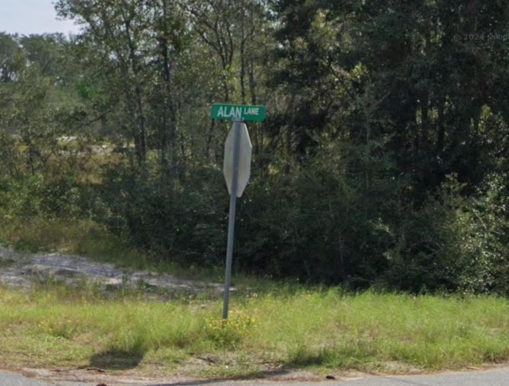 Picture 11