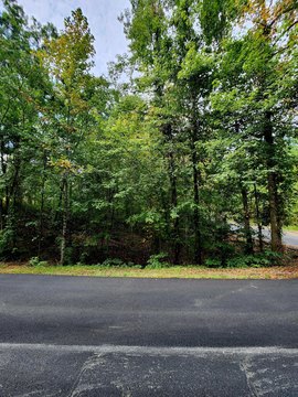 Land, Spring City, TN