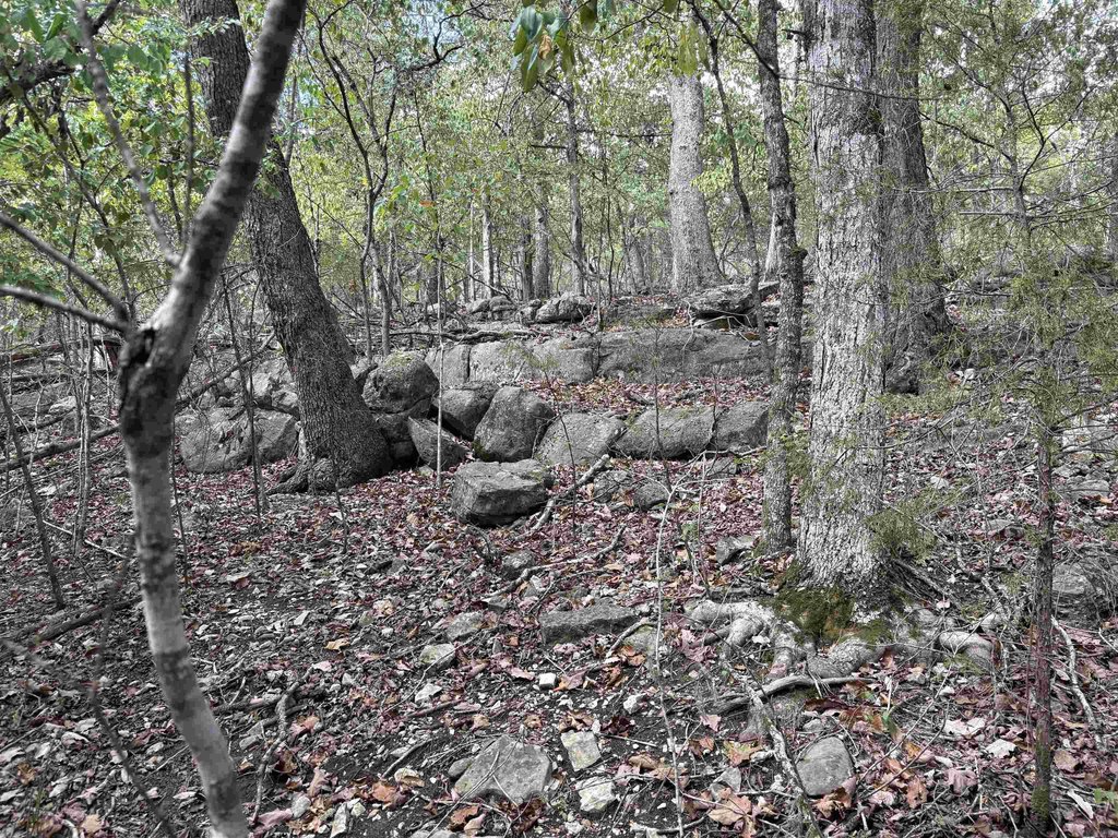 Picture 26