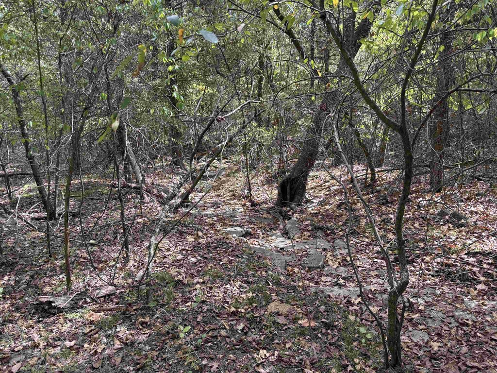Picture 32