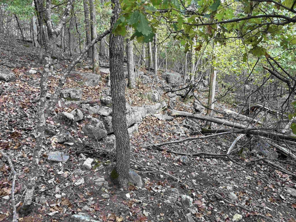 Picture 16