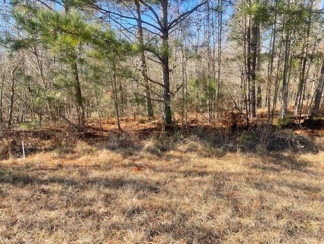 Warrenton Wooded Residential Land
