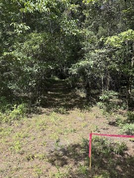 LAND - Adams Run, SC