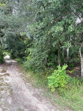 Land, LEESBURG, FL
