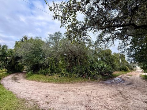 Land, LEESBURG, FL